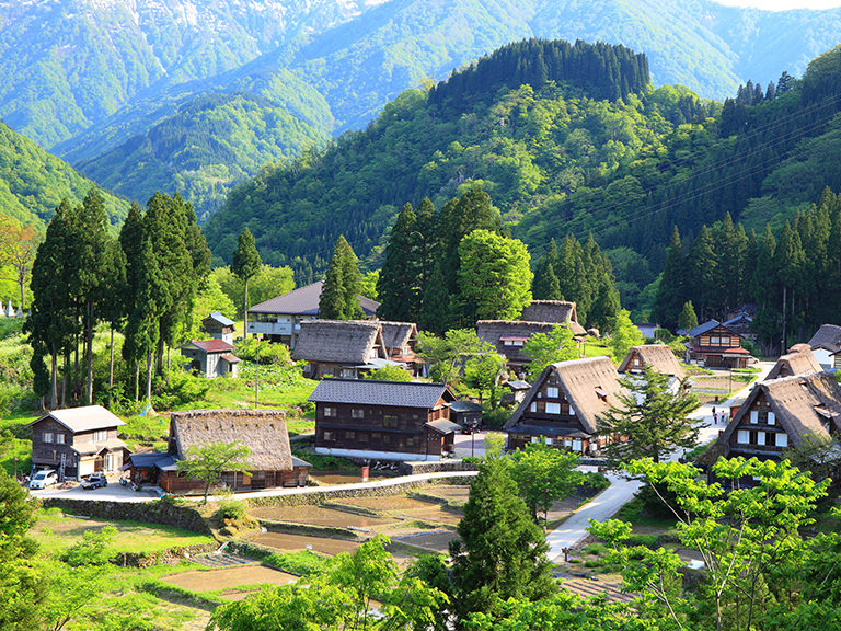 The 4 Seasons of Japan G'Day Japan!