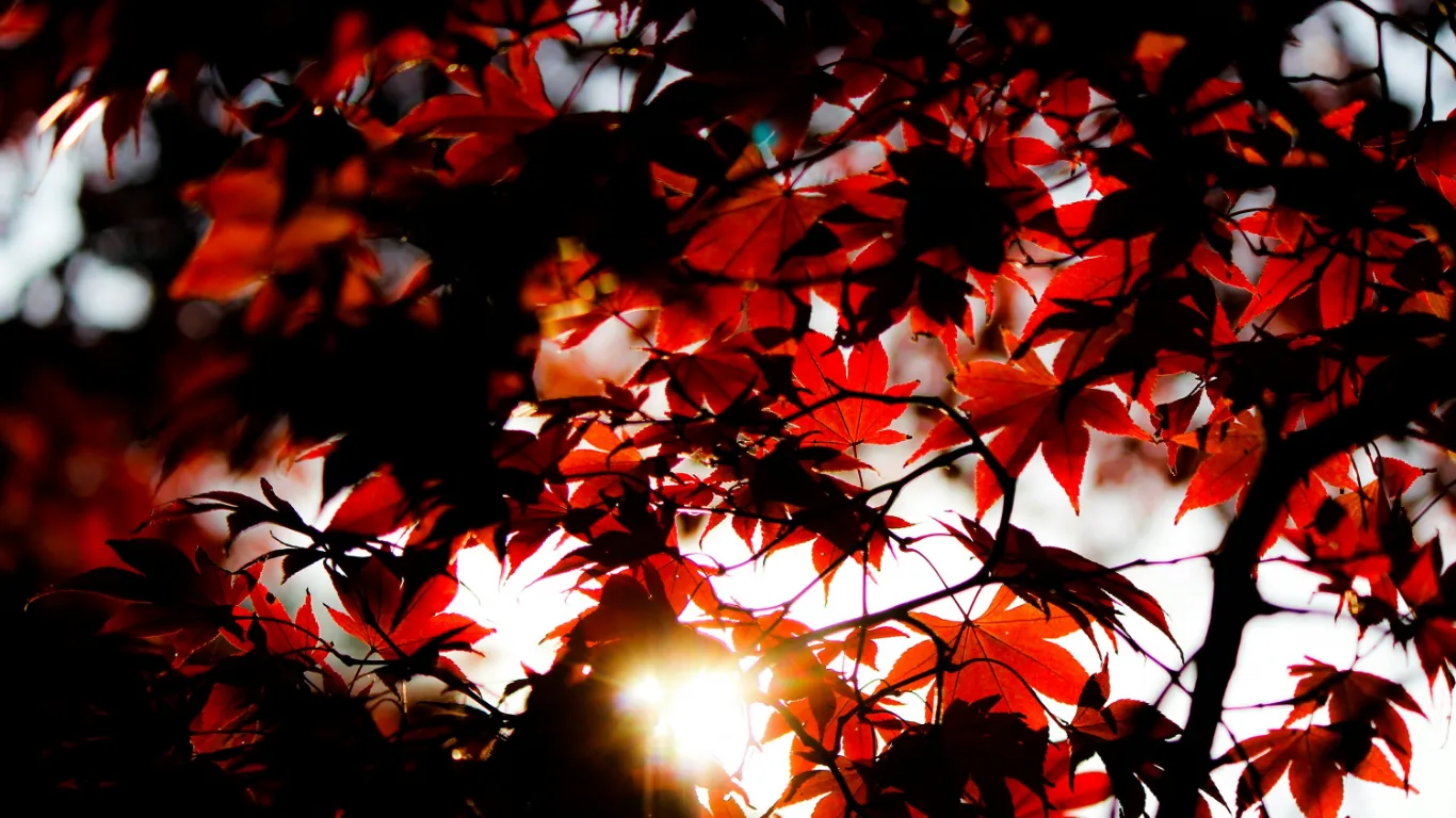 02. Clear and Accurate Communication