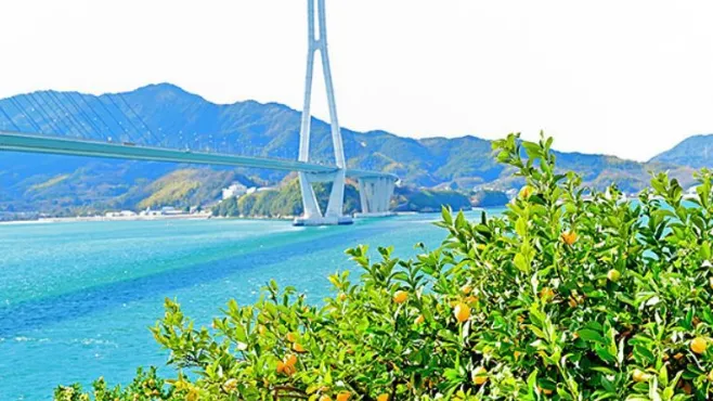 Popular Tours by Region