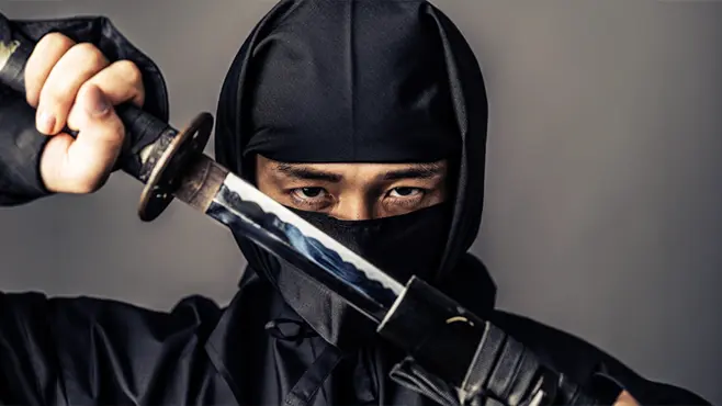 Ninja: Shadow and Spirit