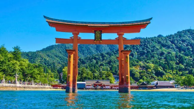 Popular Tours by Theme