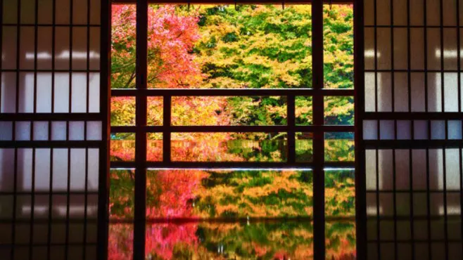 Popular Tours by Theme