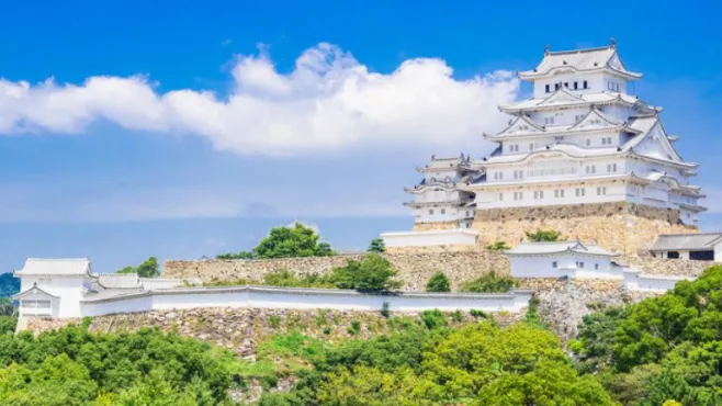 Popular Tours by Theme