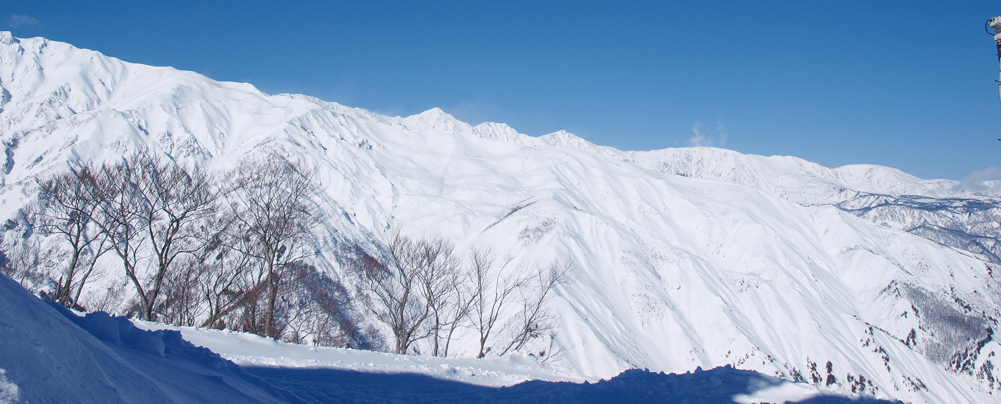 Hakuba 47 Mountain Sports Park | G'Day Japan!