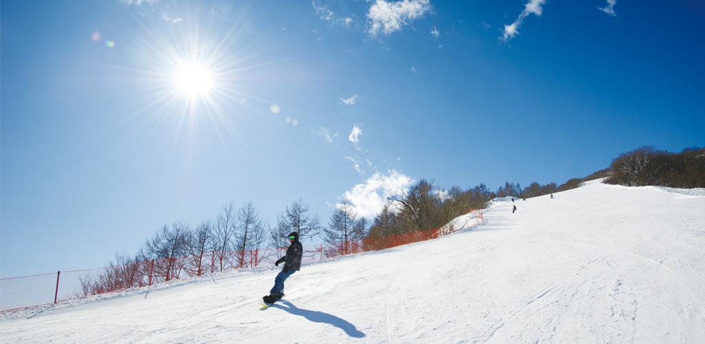 Hakuba 47 Mountain Sports Park | G'Day Japan!