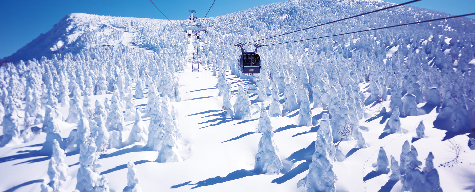 Zao Onsen Ski Resort | G'Day Japan!