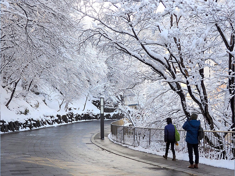 Winter Activities